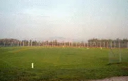 The Shilo